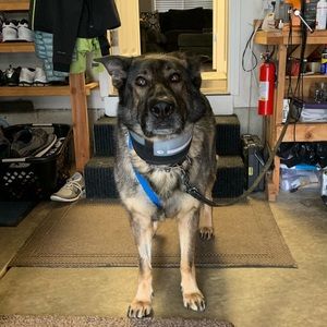 Meet your Posher, Tayton